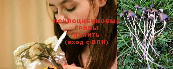 марки lsd Гусь-Хрустальный