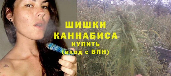 spice Гусев