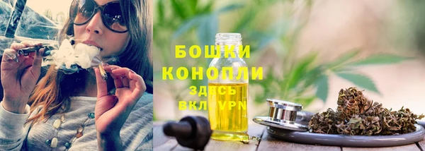 spice Гусев